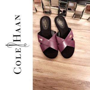 Cole Haan signture